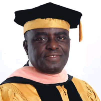 Peter Okebukola Image