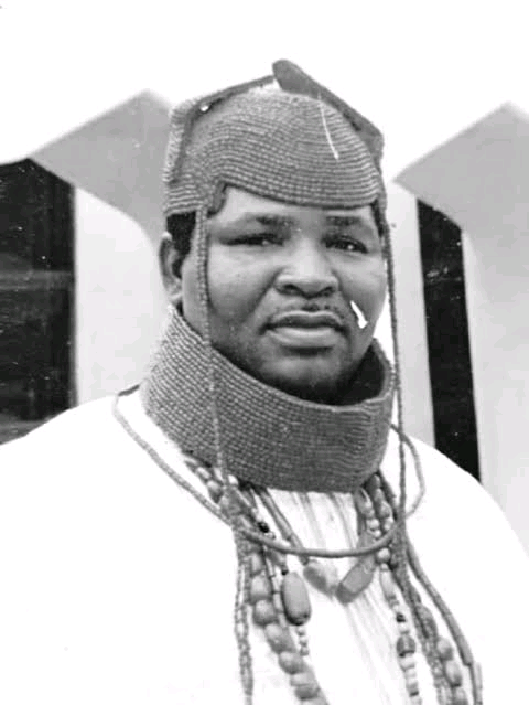 Henry Ezeagwuna II Image