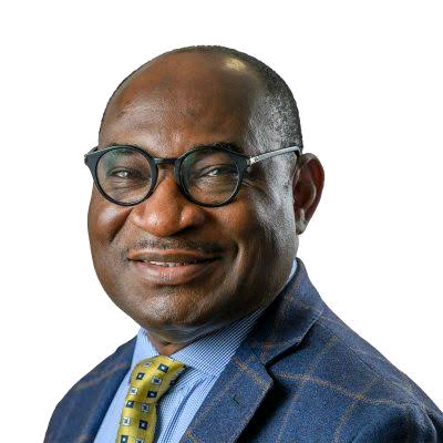 Nelson Ogunshakin Image