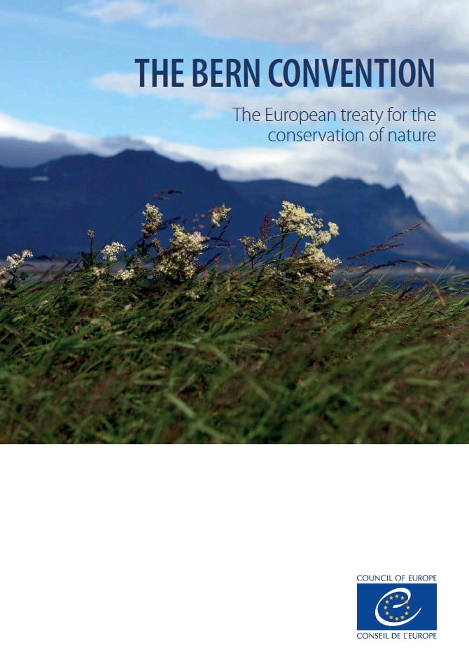 Treaty of Bern Image