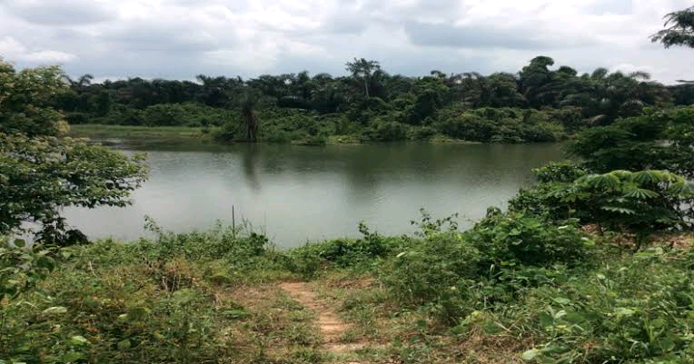 Calabar River Image