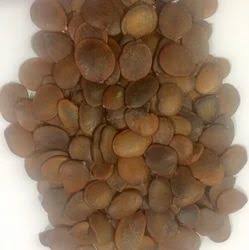 Brachystegia eurycoma Image