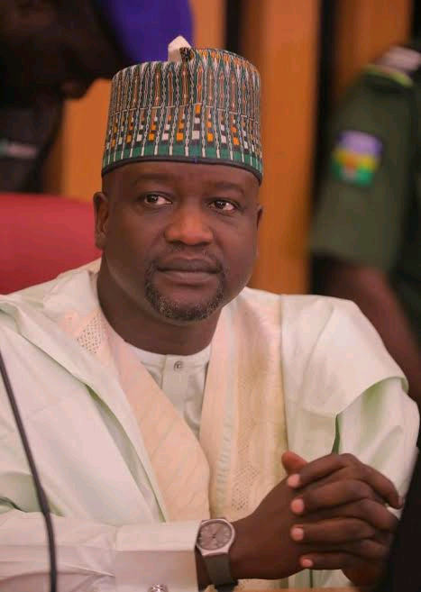 Deputy governor of Borno State Image