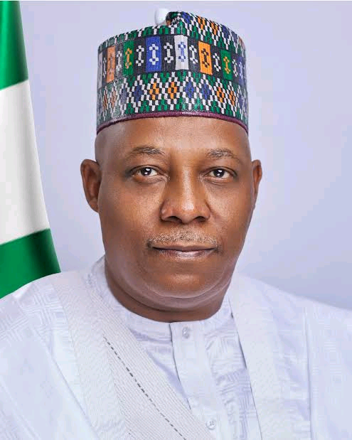 Vice President of Nigeria Image