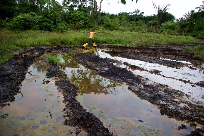 Environmental issues in the Niger Delta Image