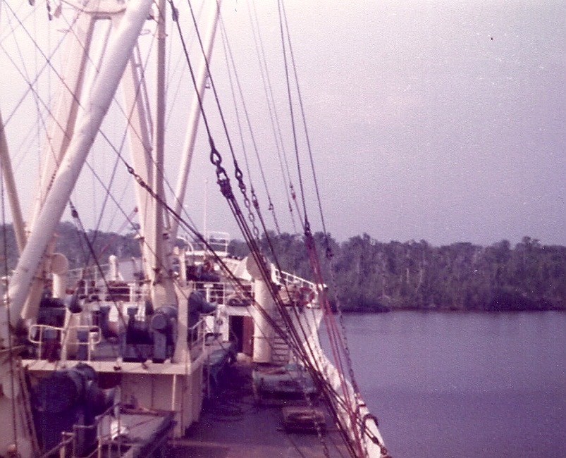 Escravos River Image