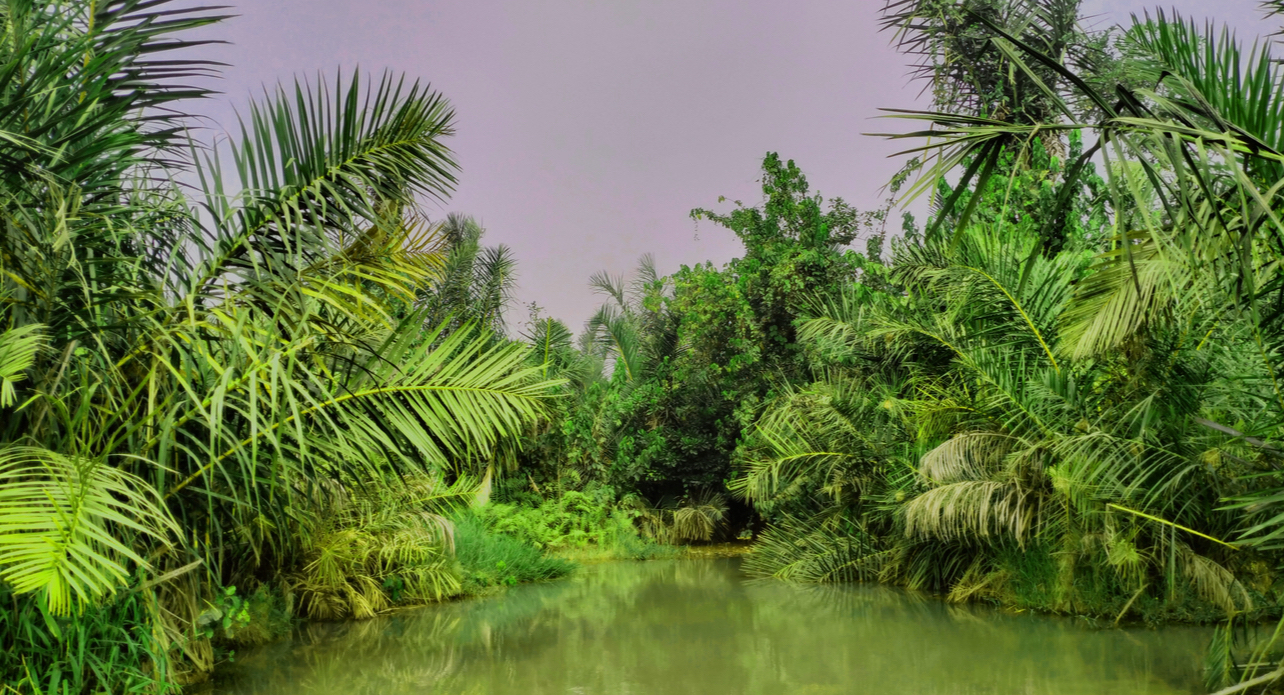 Ngaji River Image