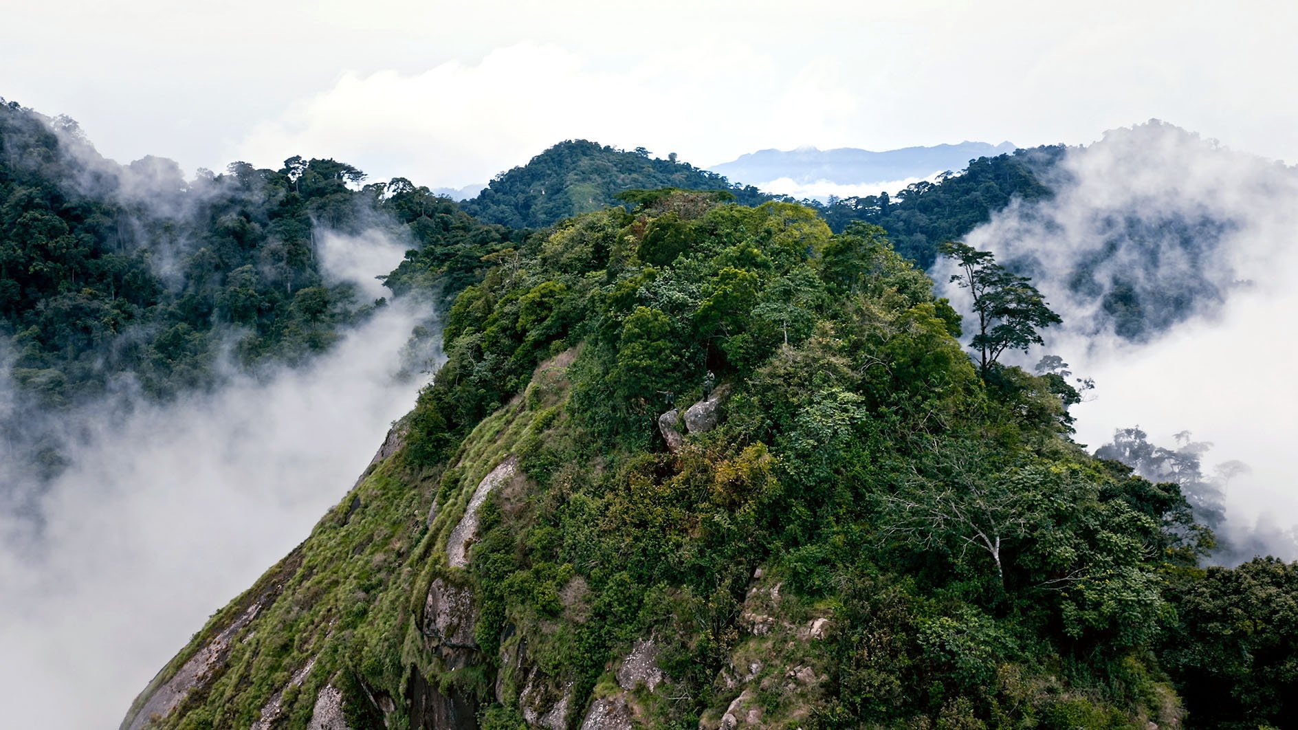 Mbe Mountains Community Forest Image