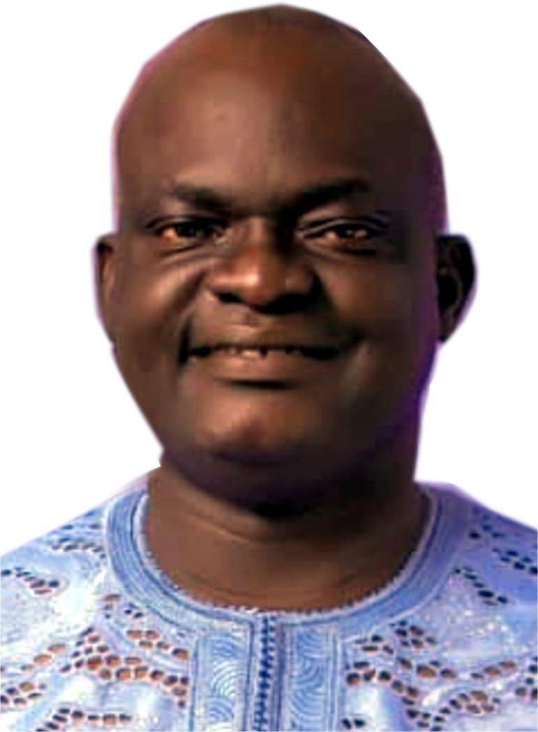 Olusegun Ariyo Image